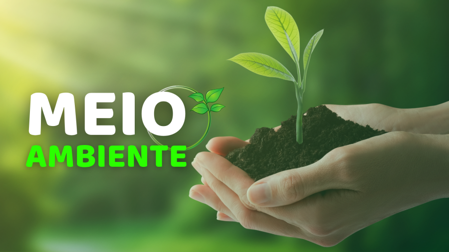 Educação Ambiental nas Escolas de Guariba
