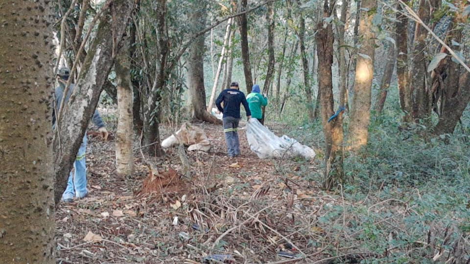 Prefeitura realiza a limpeza da área verde no bairro Funichelli Santin