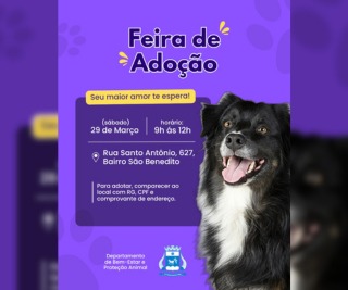 Prefeitura promove feira de adoção de animais