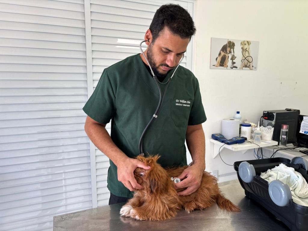 São João da Boa Vista inicia campanha de castração gratuita de cães e gatos