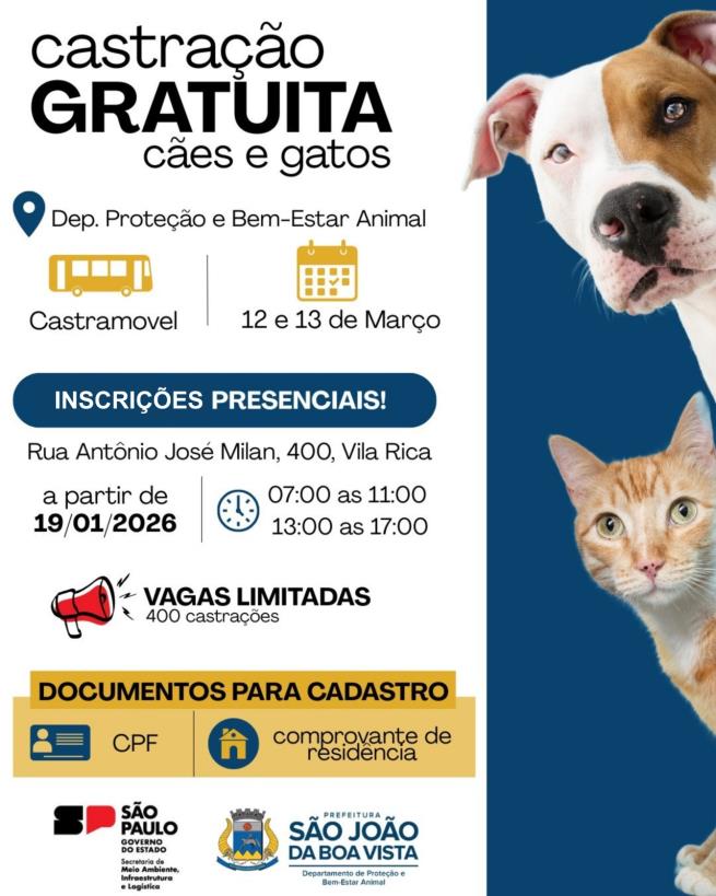 Imagem de Prefeitura abre inscrições para castração gratuita de cães e gatos