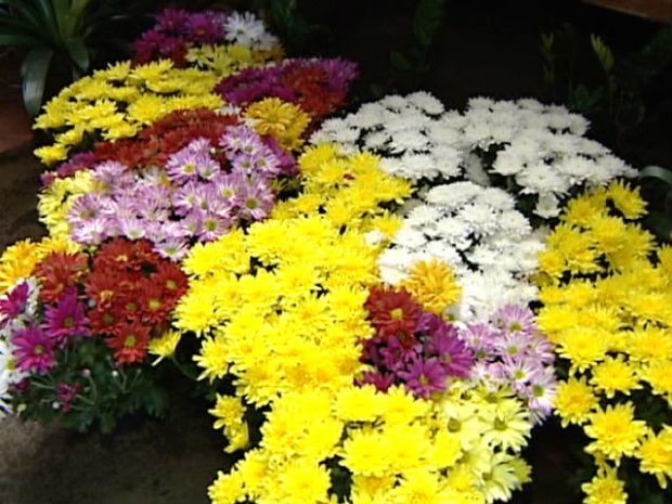 Feriado de Finados: somente o comércio de flores será permitido no cemitério municipal