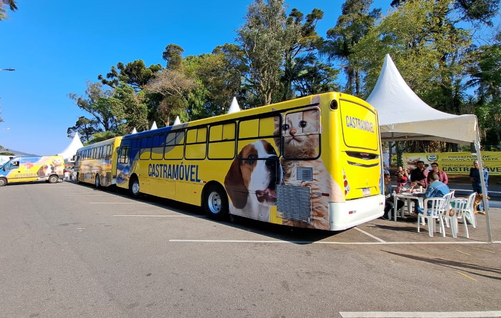 Saiba como vai funcionar o Castramóvel