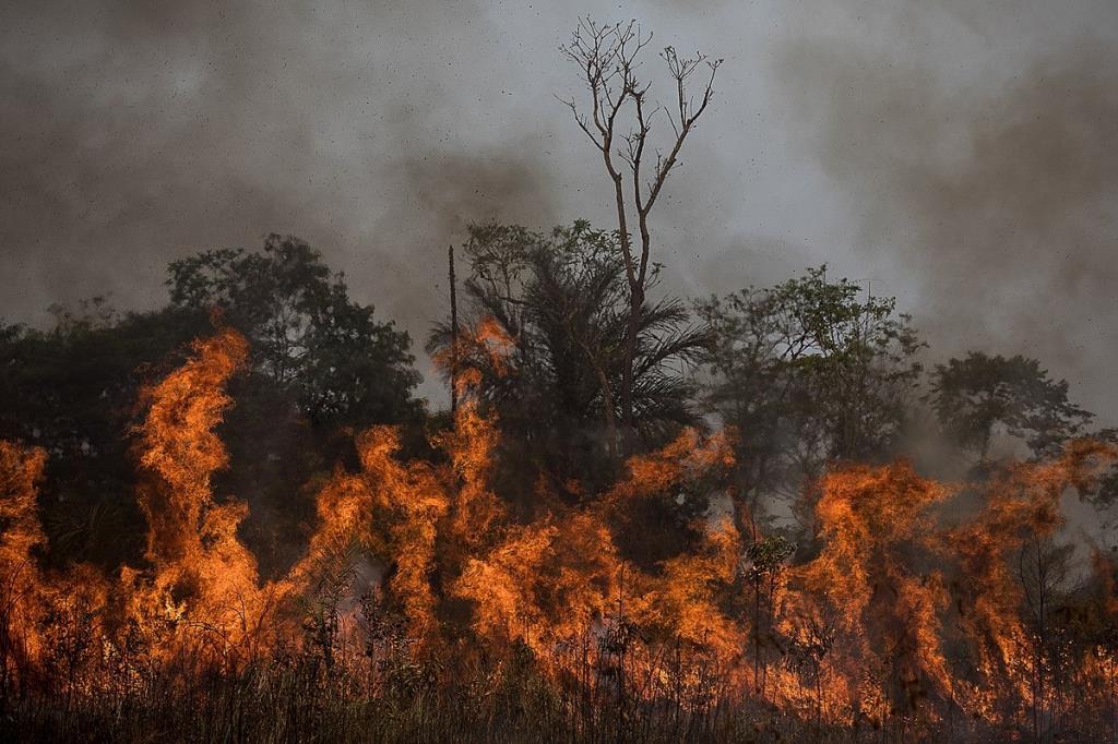 Imagem de Prefeitura reforça fiscalização sobre limpeza de terreno e combate às queimadas no município