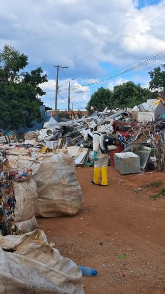 Imagem de Prefeitura inicia nebulização no Parque dos Resedás para reforçar combate à dengue