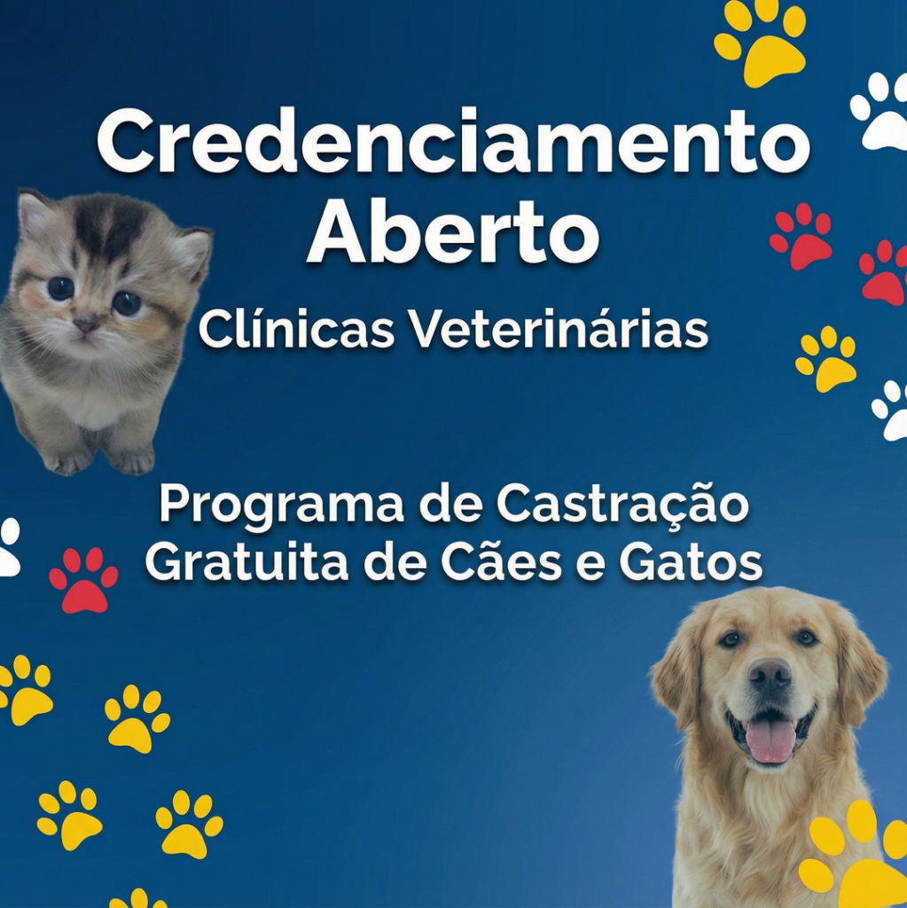 Credenciamento de clínicas para castração gratuita de cães e gatos segue aberto em São João