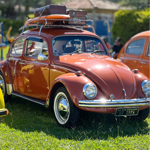 1º ENCONTRO AUTOMOTIVO AGITA BUENO BRANDÃO COM CARROS INCRÍVEIS, MÚSICA E SOLIDARIEDADE!