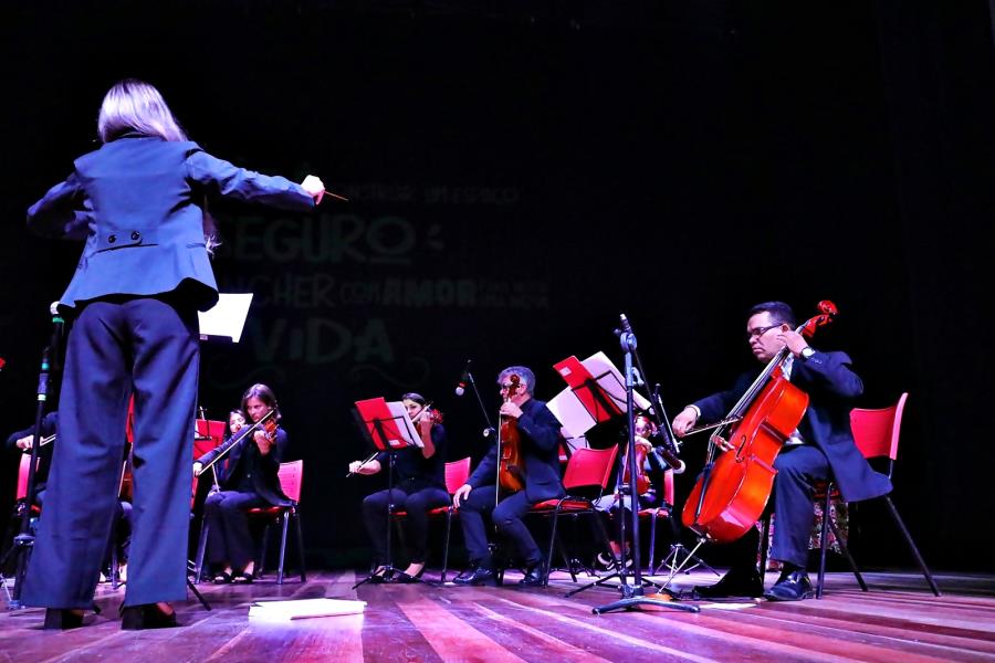 Santo Antônio do Pinhal promove I Festival de Música Erudita