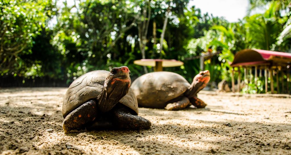 Domingo tem solidariedade nos pontos turísticos de Mongaguá