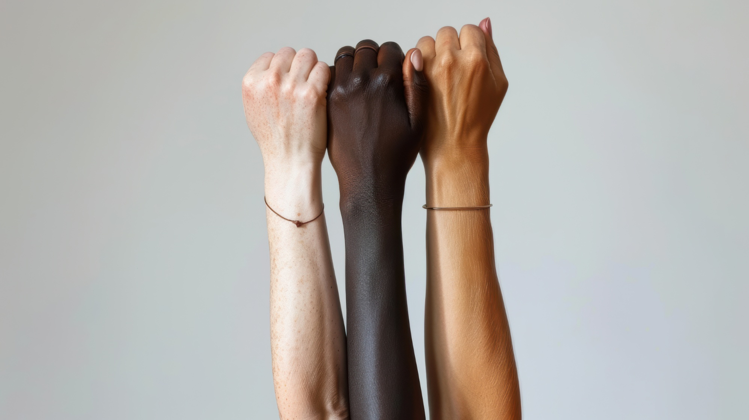 Conselho da Igualdade Racial atua com nova composição