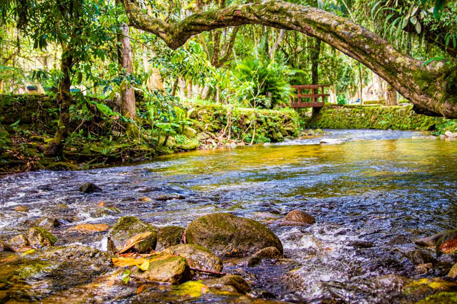 No Mês do Meio Ambiente, Mongaguá Promove 3º Ambientação, com ações de conscientização e sustentabilidade