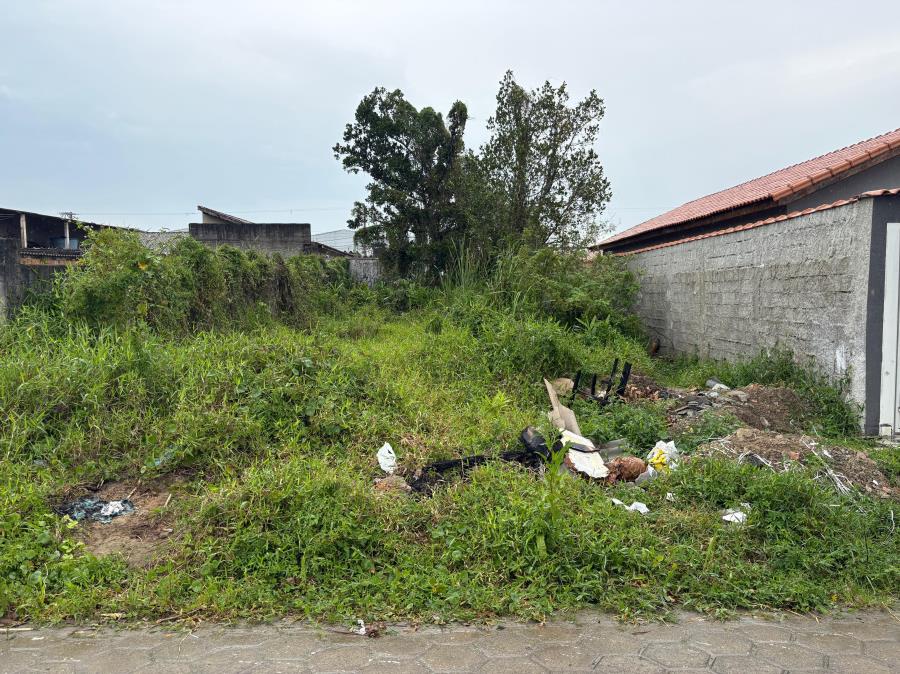 Prefeitura regulamenta regras para limpeza de terrenos e combate a focos de doenças