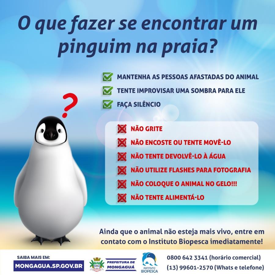 Pinguim