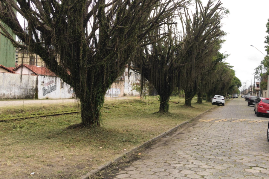 Passarela Corintiana recebe força-tarefa de manutenção
