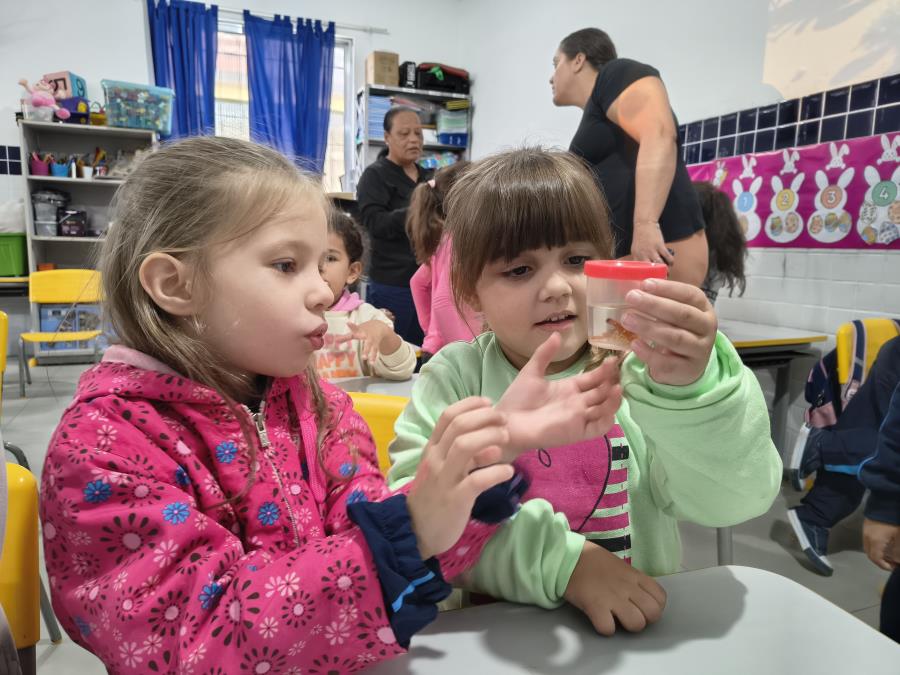 Alunos de Mongaguá recebem palestra sobre como lidar com proliferação de escorpiões