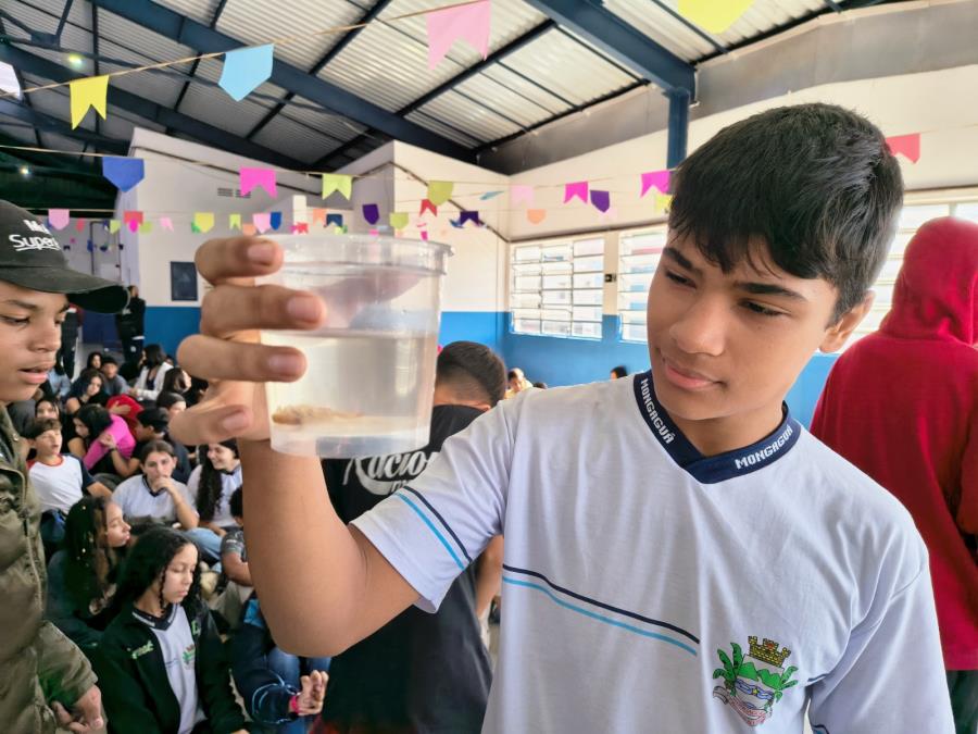 Prefeitura alerta alunos sobre possível proliferação de escorpiões em Mongaguá
