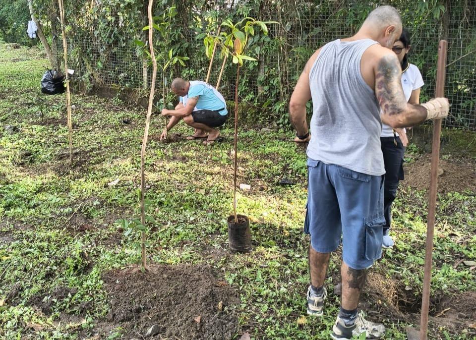 Mongaguá ganha sua 1ª Floresta de Bolso no Centro