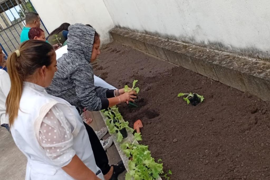 CAPS de Mongaguá ganha horta terapêutica cultivada pelos próprios usuários