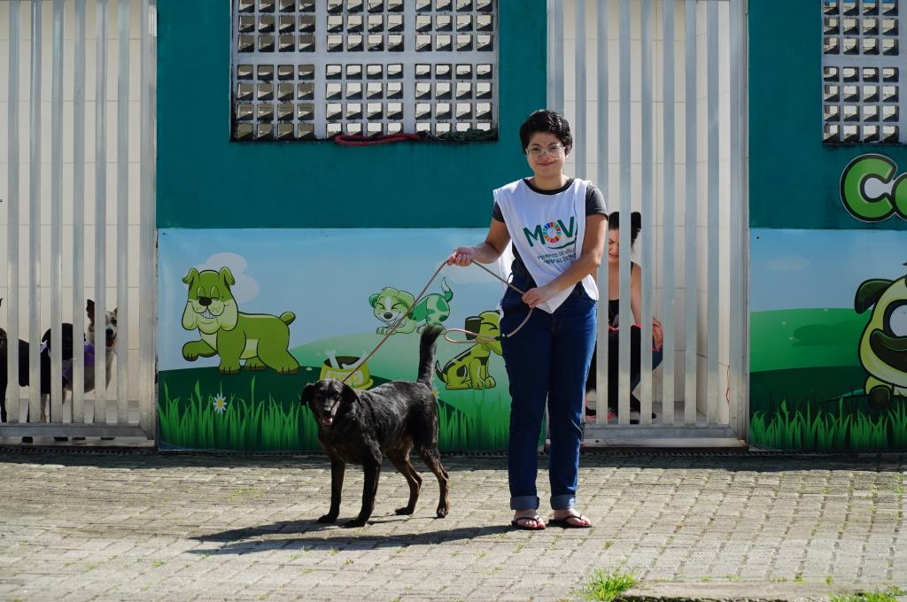 Feira Pet de Mongaguá incentiva adoção responsável e voluntariado