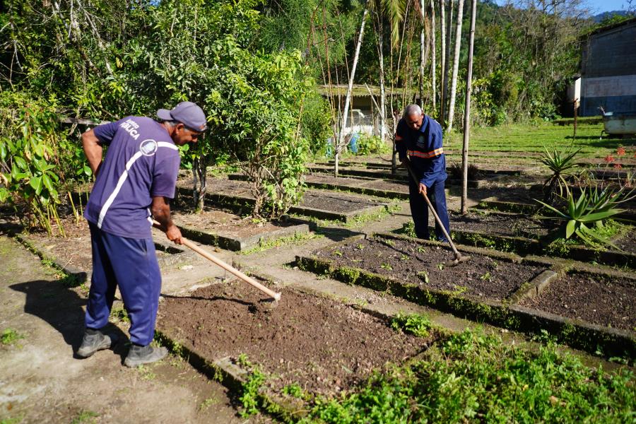 Revitalização da Regional Rural em Mongaguá promove agricultura sustentável e turismo ecológico