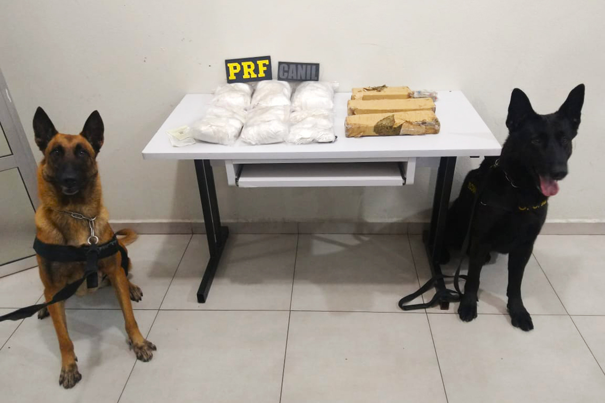 PRF e GCM realizam ação conjunta para coibir tráfico de entorpecentes