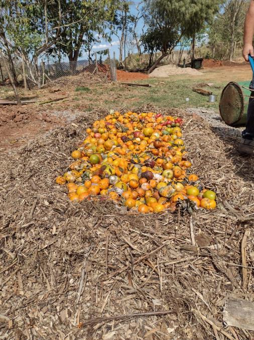 Resíduos gerados em feiras livres são destinados à compostagem em projeto piloto