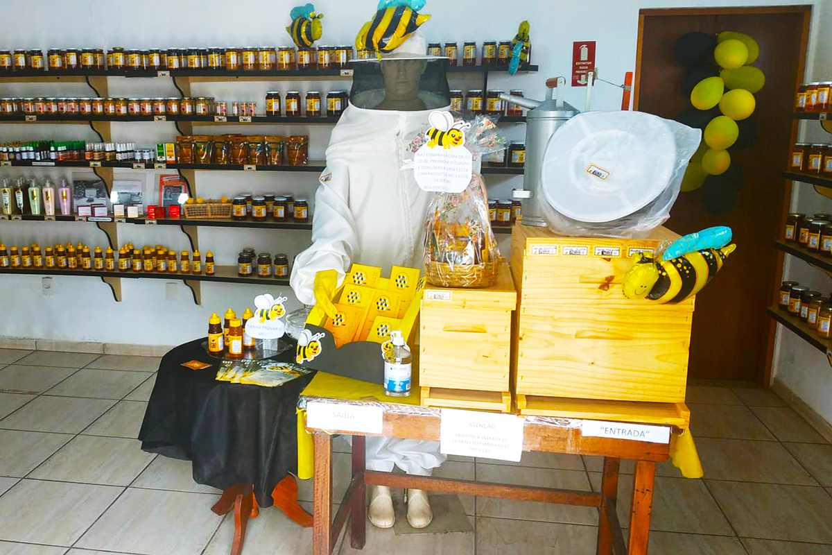 Casa do Mel comemora o Dia Nacional da Abelha