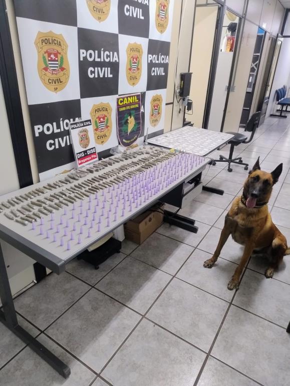 GCM apoia Polícia Civil em operação que resulta em prisão e apreensão de drogas