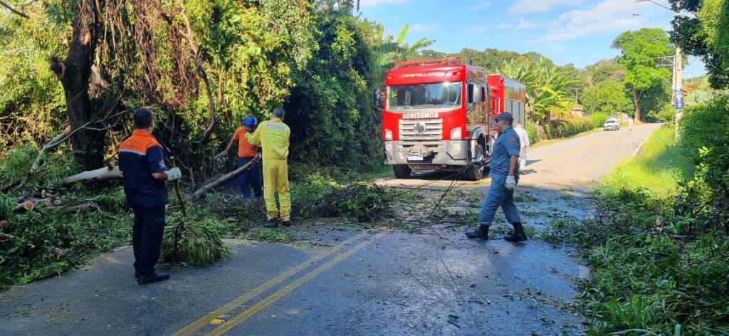 Defesa Civil monitora impactos das chuvas nas últimas 24 horas