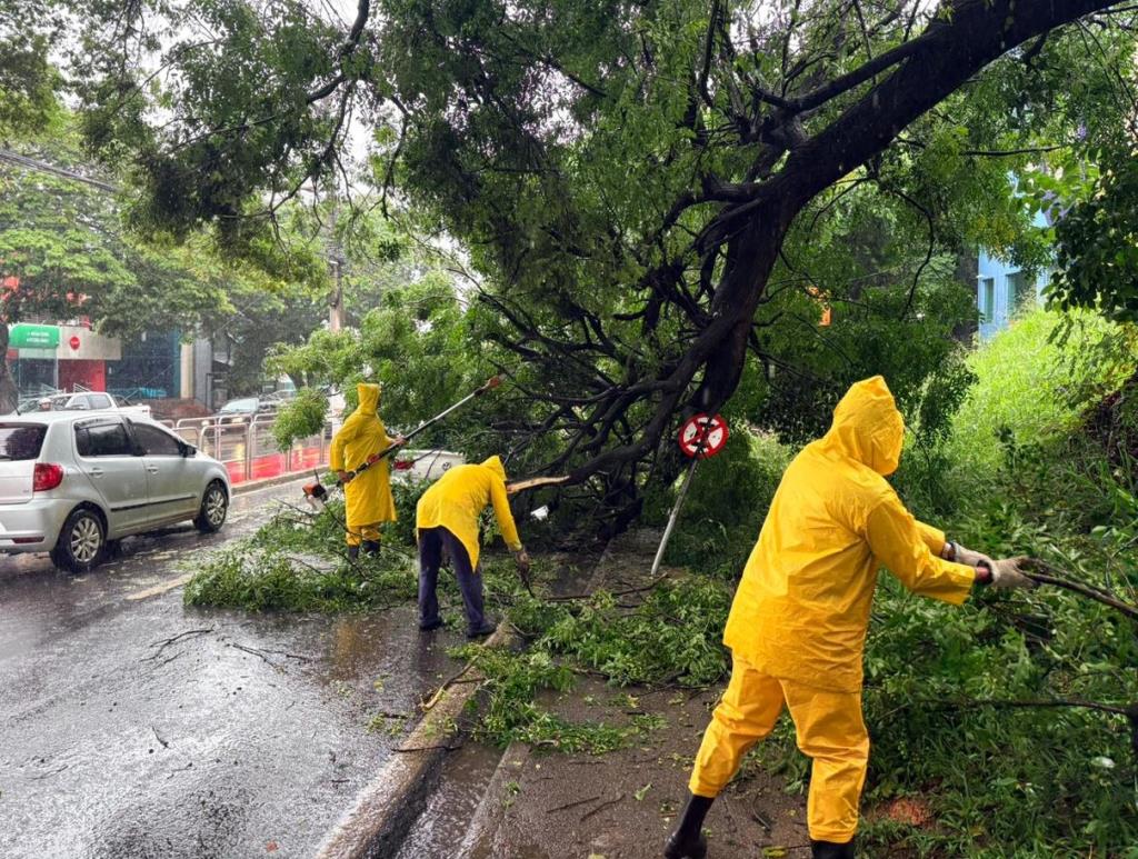 Defesa Civil registra elevado volume de chuvas e atua em ocorrências em diferentes regiões de Bragança Paulista