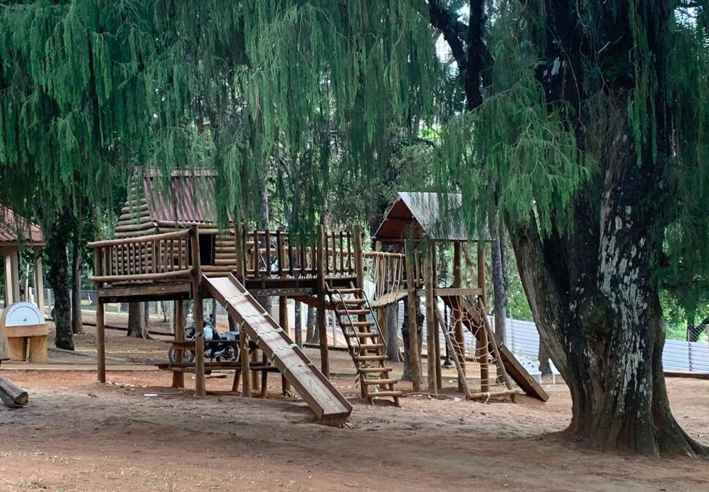 Reforma do Jardim Público segue em acentuado desenvolvimento