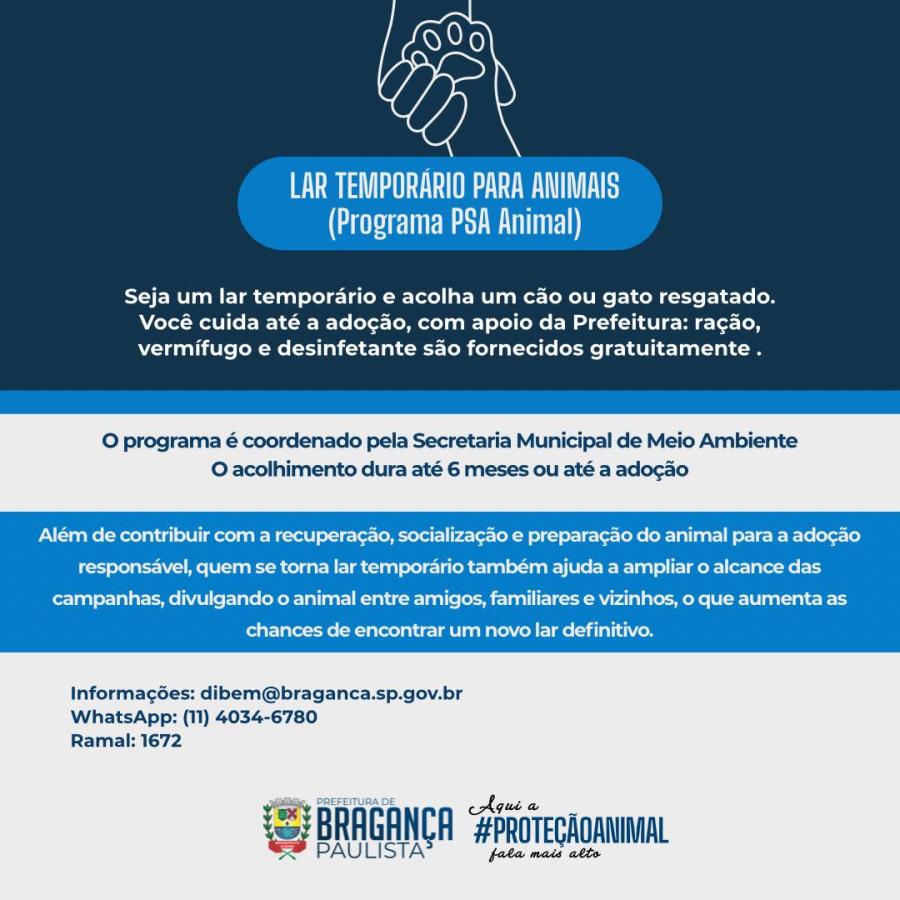 Programa de Lar Temporário para cães e gatos resgatados segue com inscrições abertas em Bragança Paulista