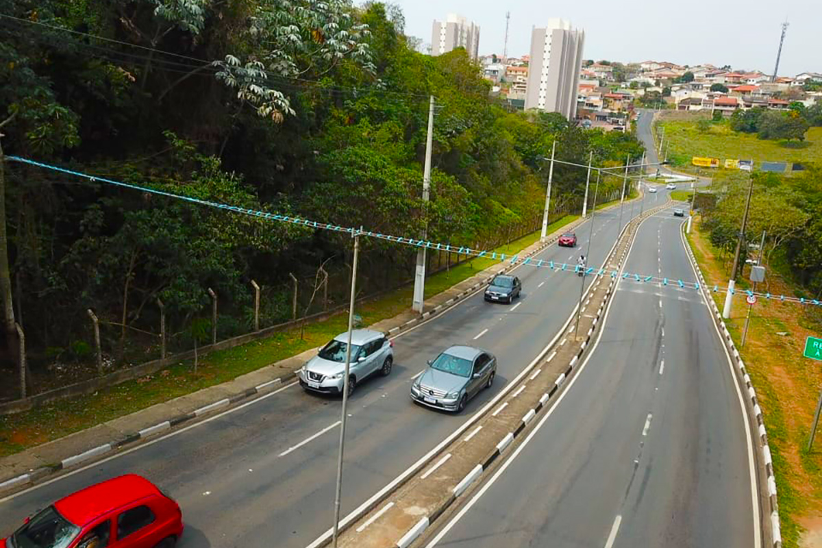 Secretaria do Meio Ambiente dá seguimento ao Projeto de Implantação de Passagens de Fauna para Animais Silvestres