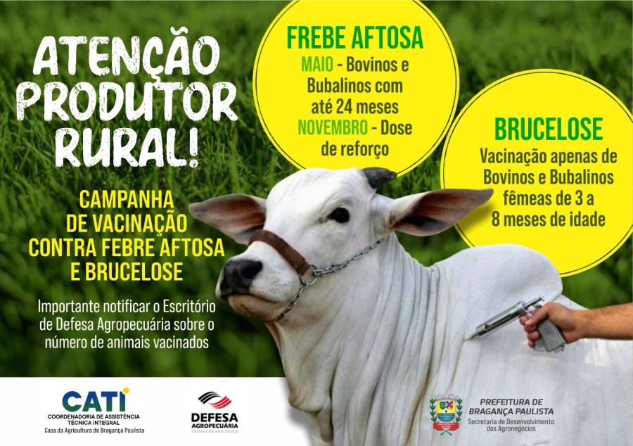  Campanhas de vacinação contra febre aftosa e brucelose são realizadas no município