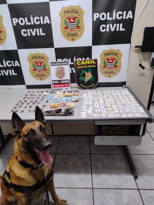 Operação conjunta em Bragança Paulista apreende drogas e detém suspeito com apoio do Canil da GCM