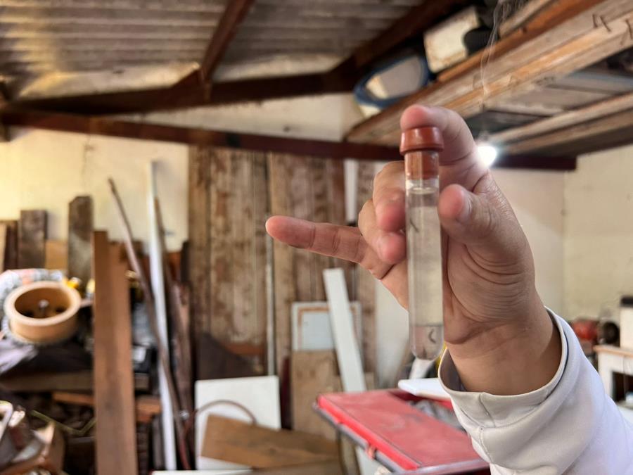 Casos de dengue caem 97% no 1º semestre de 2025