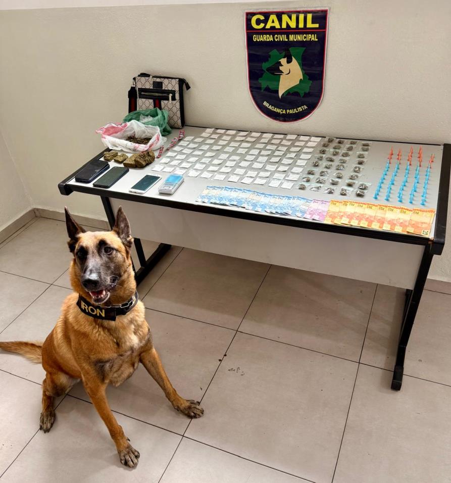 Equipe do canil da GCM apreende drogas no Conjunto Padre Zequim