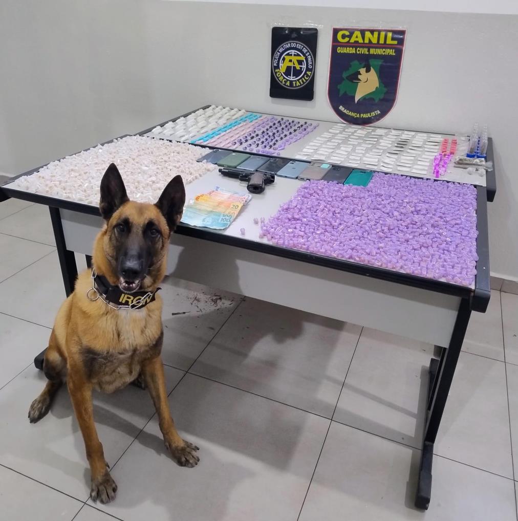 GCM atua em ação conjunta contra o tráfico de drogas