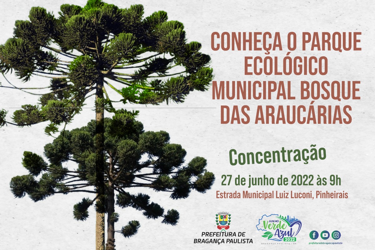 Conheça o Parque Ecológico Municipal Bosque das Araucárias