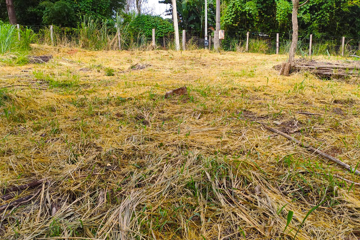 Patrulha Agrícola estimula ações de combate à erosão do solo