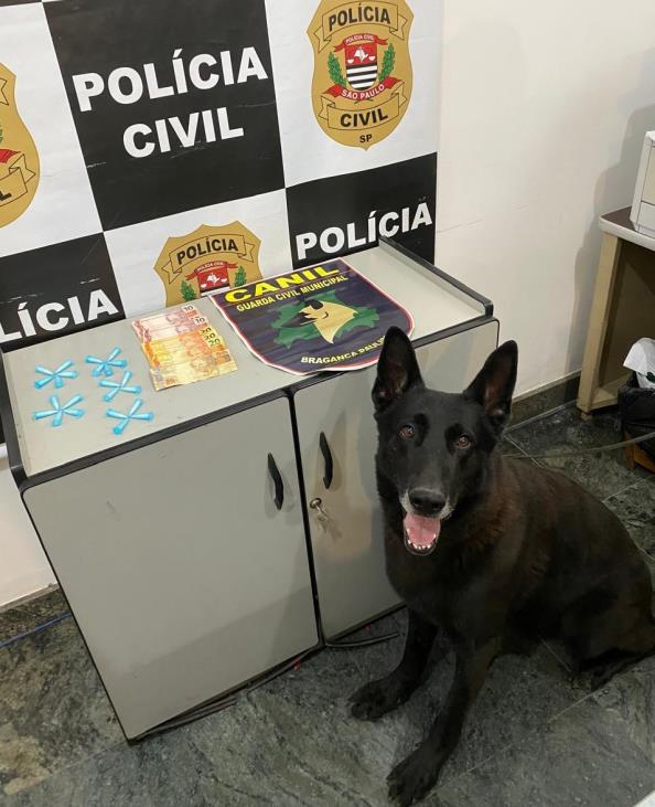 Cão farejador da GCM auxilia na prisão de suspeitos de tráfico na Vila Davi