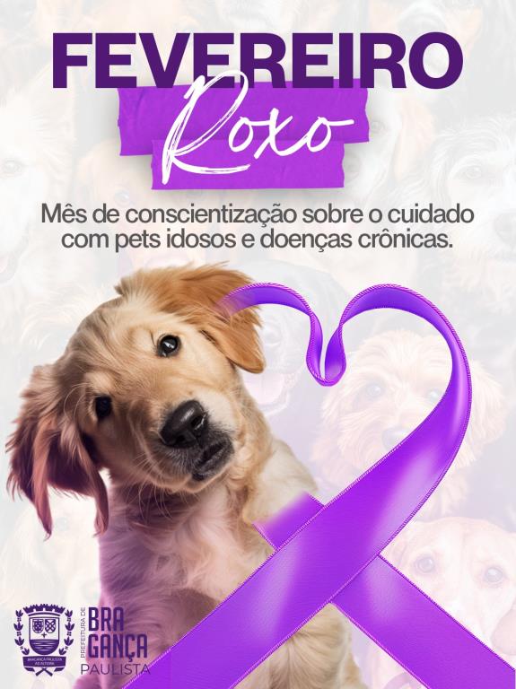 Fevereiro reforça cuidados e prevenção com a saúde dos pets idosos