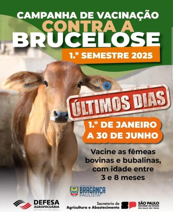 Prefeitura e Governo do Estado promovem campanha de prevenção à brucelose em rebanhos bovinos