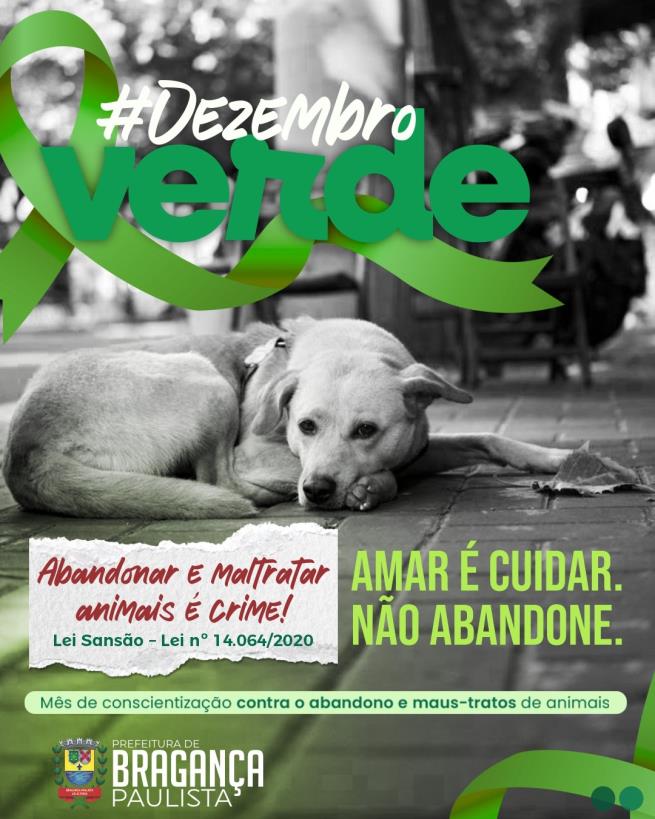 Dezembro Verde: Bragança Paulista reforça ações de conscientização contra o abandono e os maus-tratos aos animais