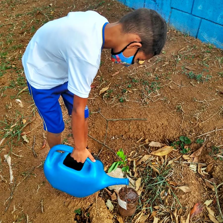 Projeto “Plantar e Cuidar” ensina crianças a preservar o meio ambiente