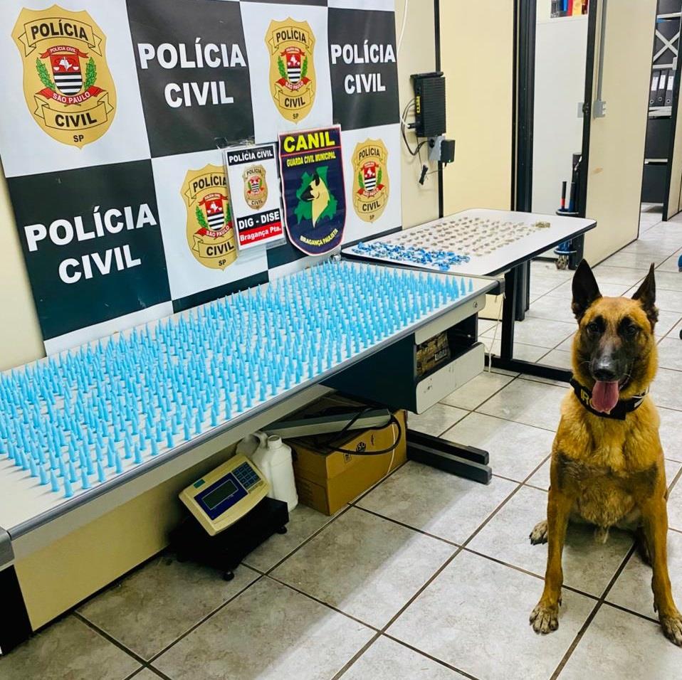 Canil da Prefeitura apoia operação de apreensão de drogas em Bragança Paulista