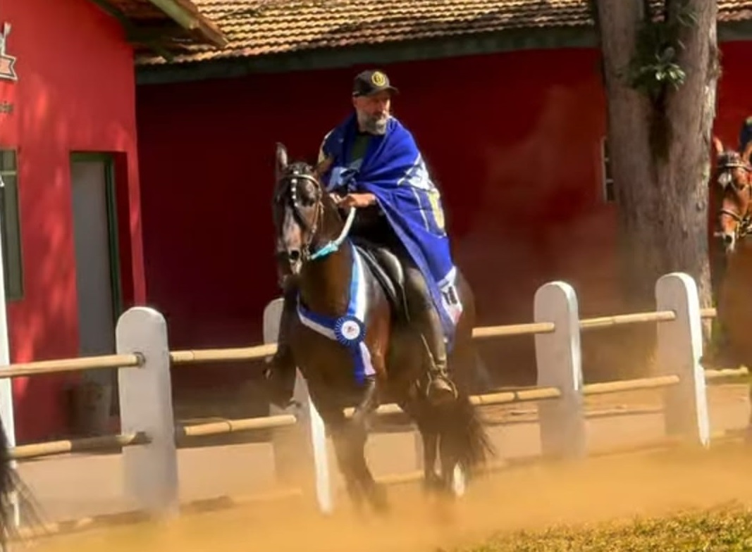 Bragança Paulista sediou Exposição Especializada do Cavalo Mangalarga Marchador