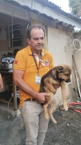 DIBEM resgata cão abandonado na Vila Bianchi e reforça alerta sobre maus-tratos