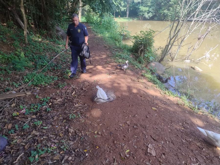 Guarda Civil Municipal de Bragança Paulista flagra pesca irregular no Lago dos Padres