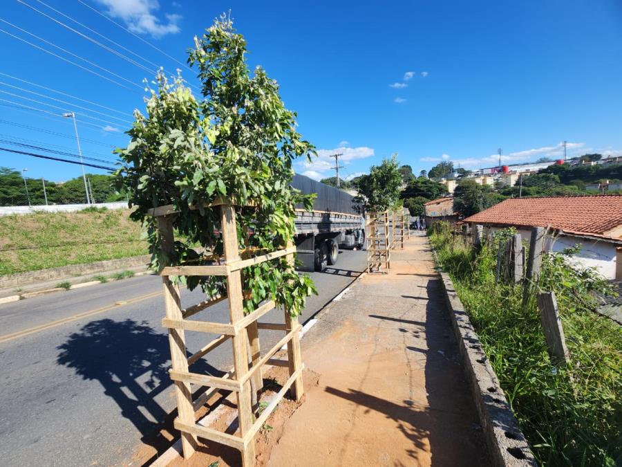 Morada Campos Verdes ganha 30 novas árvores